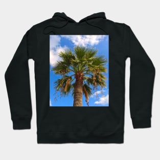 Palms 4 Hoodie